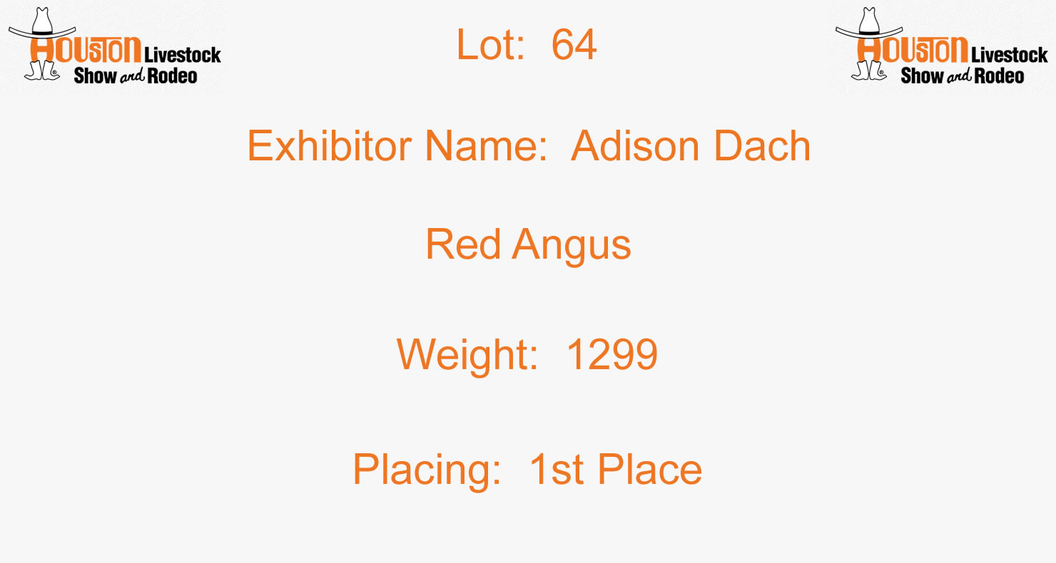 Dv Action Lot 64: Houston Livestock Show & Rodeo - Junior Market Steer Auction ...