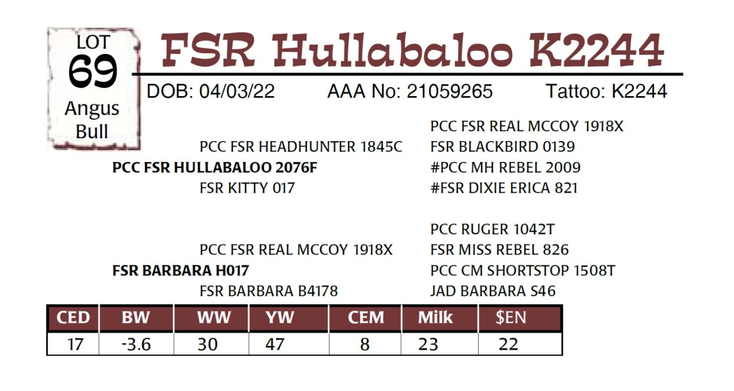 Lot 69 Sand Dune Cattle Co. Complete Dispersal Sale DVAuction