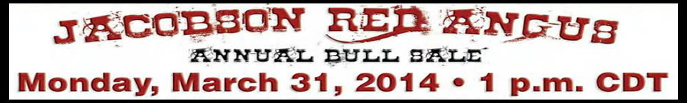 Header 32db5a2ed1c277de1d0866c70e962689