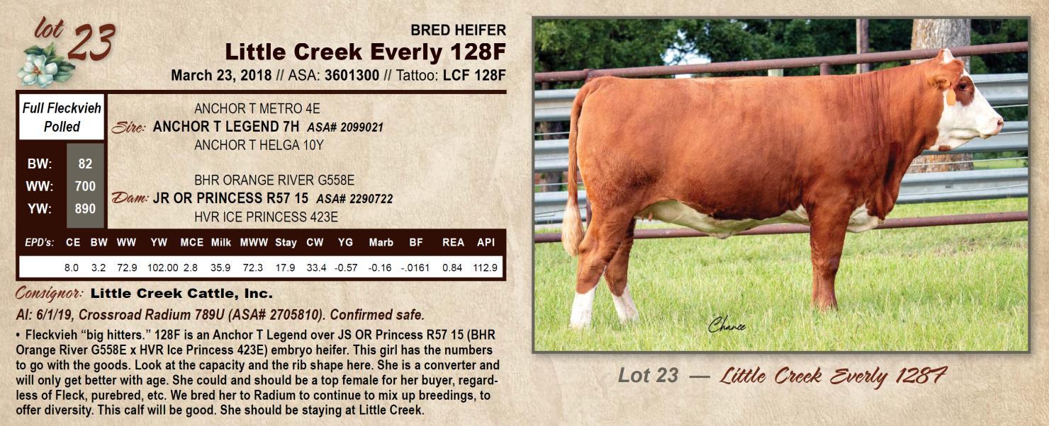 Lot 23 Little Creek Cattle The Magnolia Classic 2019