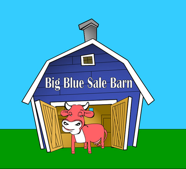 Big Blue Sale Barn